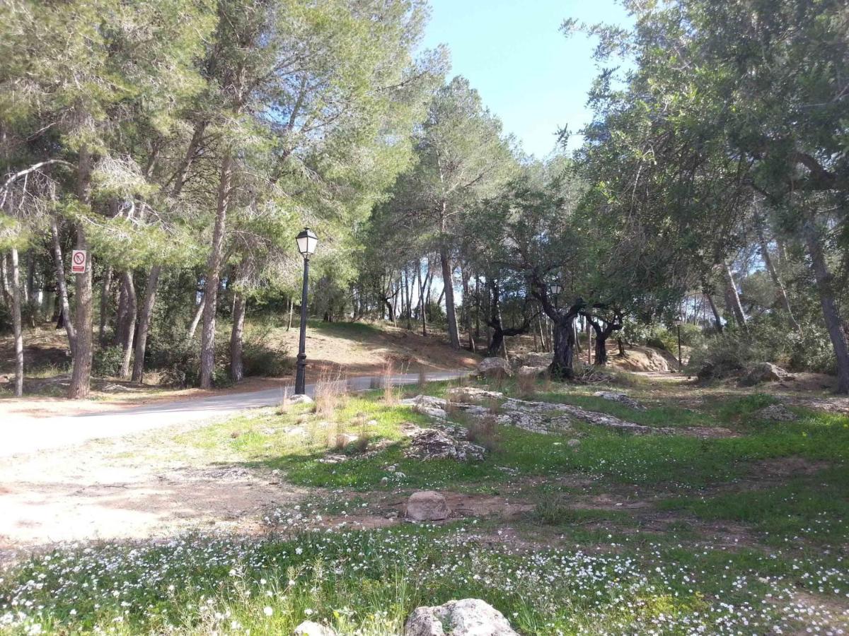 Villa Conchin Casa Junto A Parque Natural Alberic المظهر الخارجي الصورة