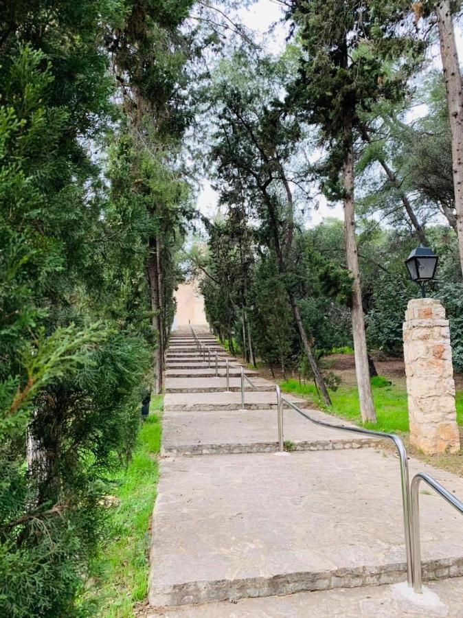 Villa Conchin Casa Junto A Parque Natural Alberic المظهر الخارجي الصورة