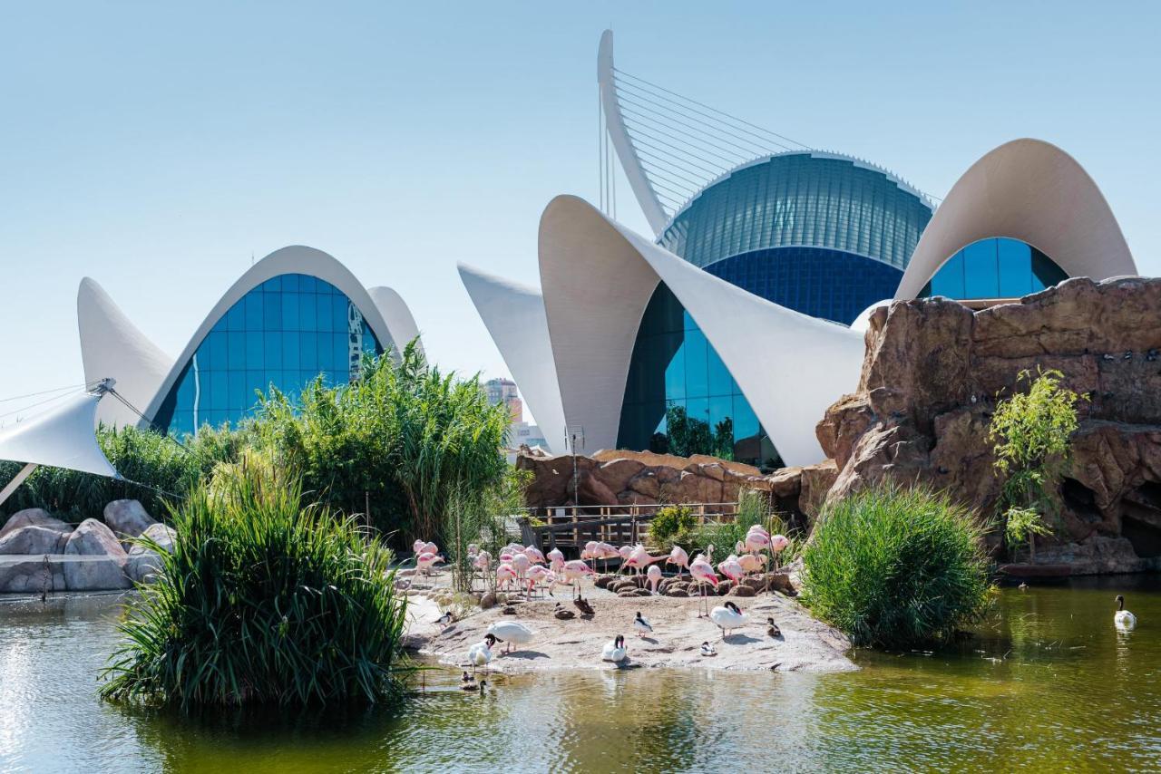 Villa Conchin Casa Junto A Parque Natural Alberic المظهر الخارجي الصورة